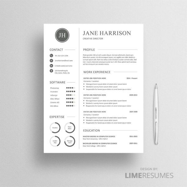 Resume template with charts