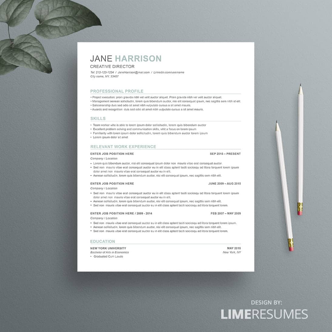Combination resume template 43