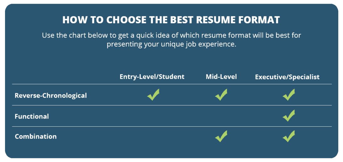 Resume format table