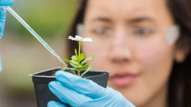stock image showing a botanist holding a plant