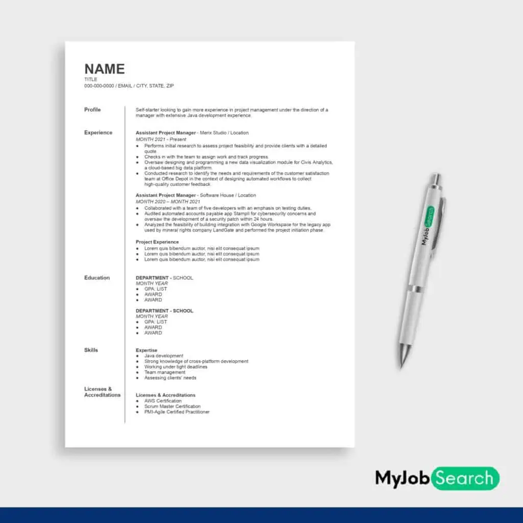 An image of Project Manager Assistant Resume Example
